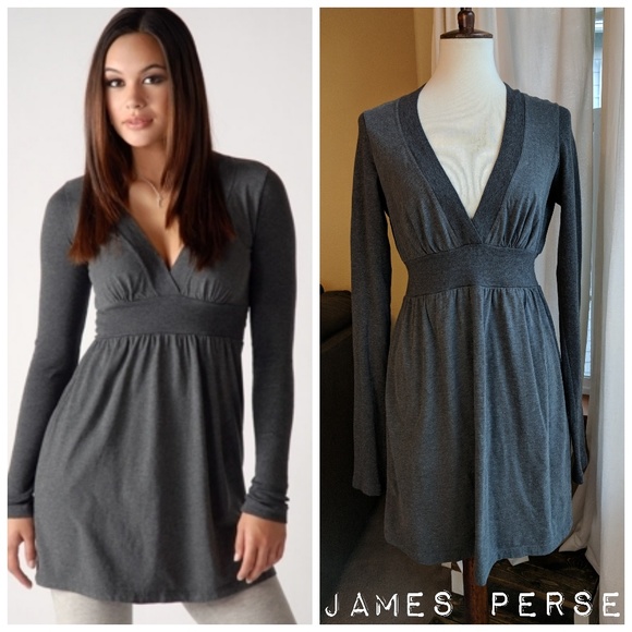 James Perse Tops - James Perse Long sleeve Empire Tunic/minidress
